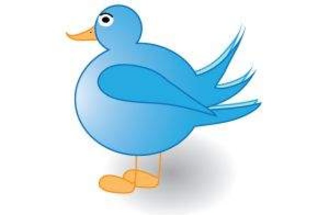 Zeci de mii de conturi de Twitter au fost "sparte"