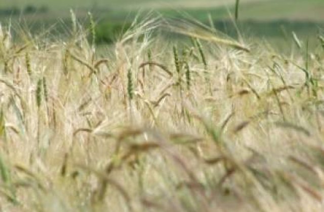 Strainii detin 15% din suprafata agricola a Romaniei