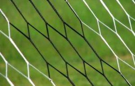 Universitatea Cluj, amendat cu 20.000 de lei de Jandarmerie