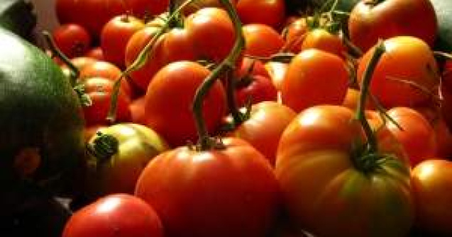 Producatorii autohtoni de rosii sunt izgoniti de pe piata