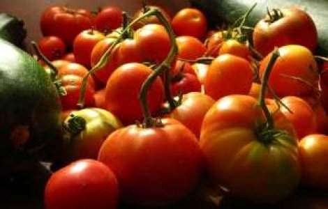 Producatorii autohtoni de rosii sunt izgoniti de pe piata