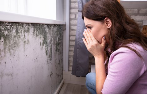 5 cauze ale aparitiei mucegaiului si cum le poti preveni