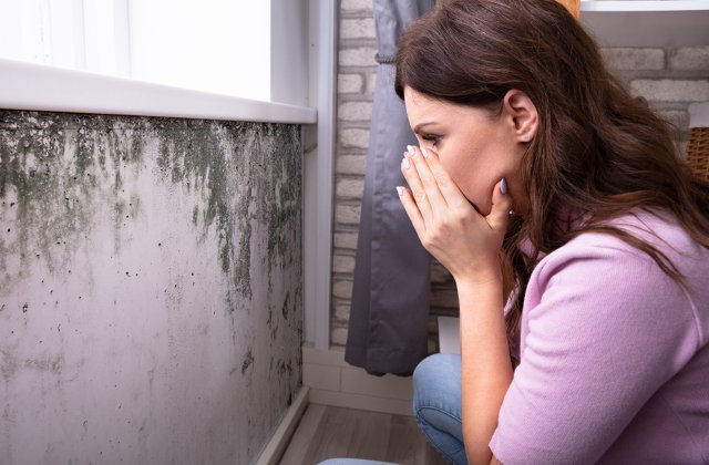 5 cauze ale aparitiei mucegaiului si cum le poti preveni