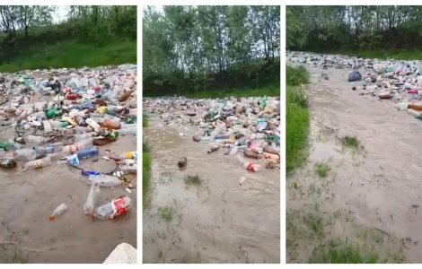 Tone de gunoi aduse de viitura, in judetul Arges / VIDEO