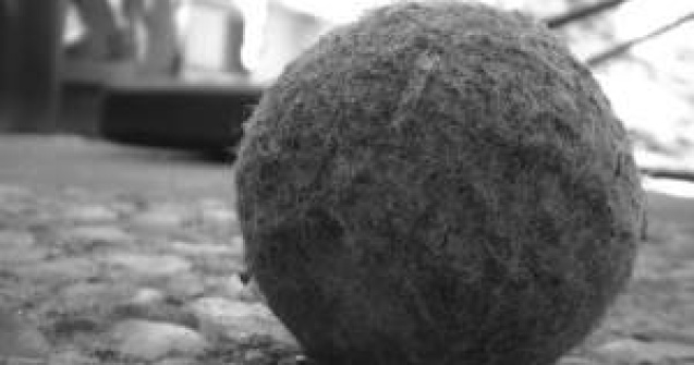 Nadal, Djokovici si Federer boicoteaza zgura albastra