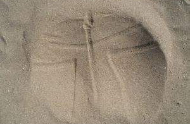 [VIDEO] Descoperire epocala: S-au inventat fesele robotice