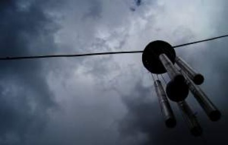 Avertizare: Vant puternic in sase judete