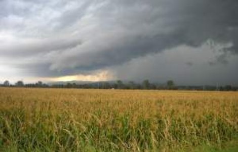 Meteo: Cum va fi vremea la inceputul saptamanii?