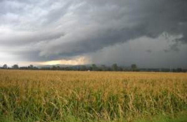 Meteo: Cum va fi vremea la inceputul saptamanii?
