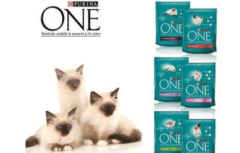 (P) Provoaca-ti pisica la o viata sanatoasa!