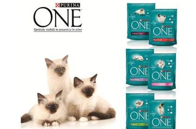 (P) Provoaca-ti pisica la o viata sanatoasa!