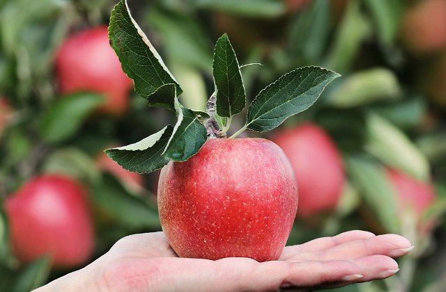 Nu le mai crede! 6 mituri care te fac sa renunti la alimentele tale preferate
