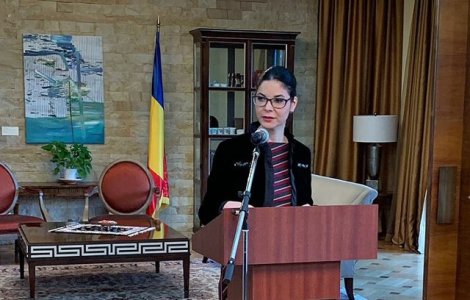 Birchall: Am primit de la instantele competente documentele prin care s-a constatat indeplinirea conditiilor legale pentru extradarea lui Radu Mazare