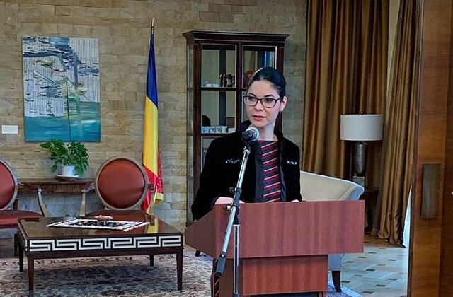 Birchall: Am primit de la instantele competente documentele prin care s-a constatat indeplinirea conditiilor legale pentru extradarea lui Radu Mazare