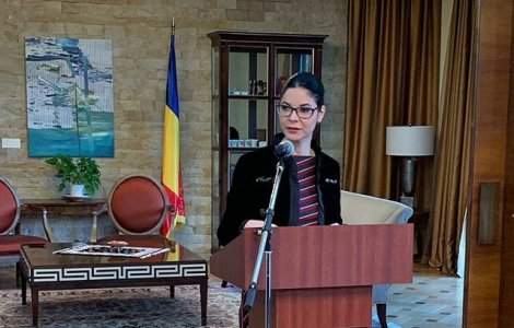 Birchall: Am primit de la instantele competente documentele prin care s-a constatat indeplinirea conditiilor legale pentru extradarea lui Radu Mazare