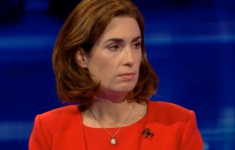 Parlamentul irlandez, al doilea care declara "urgenta climatica"