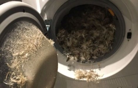  Top  10+ imagini cu persoane care cunosc mai bine decat oricine sensul cuvantului "ghinion"