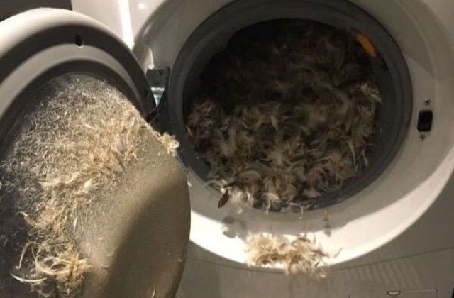 10+ imagini cu persoane care cunosc mai bine decat oricine sensul cuvantului "ghinion"