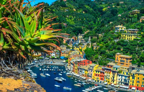  Top  10+ imagini care te vor face sa iti doresti sa fii acum in Portofino (Italia)