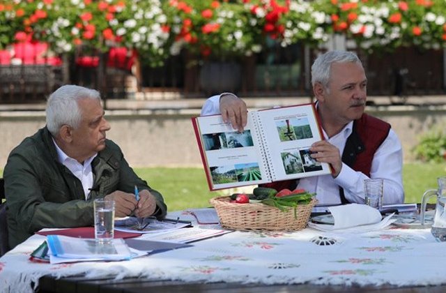 PNL solicita CNA sa investigheze cum au ajuns Liviu Dragnea si Petre Daea sa faca propaganda electorala in emisiunea "Viata Satului"