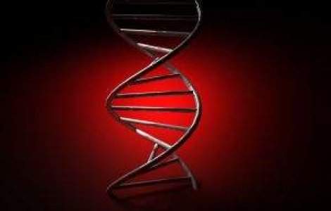 Succesul si esecul sunt determinate de ADN