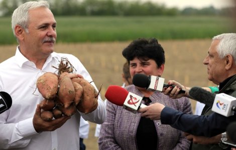Dragnea: Programele pe care le-am gandit pentru agricultura aduc pe masa romanilor produse sanatoase