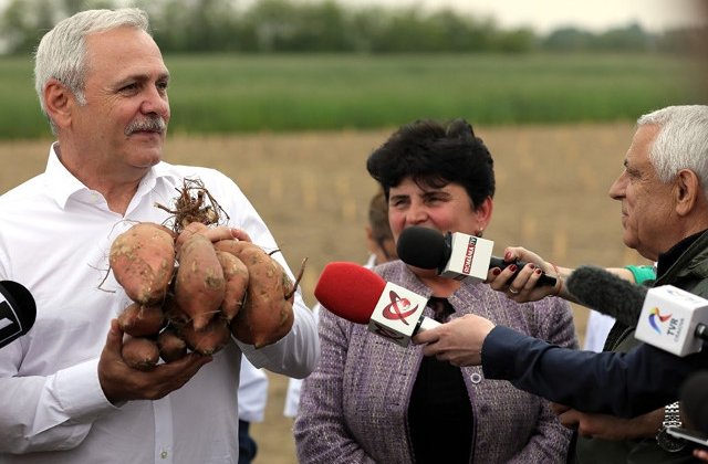 Dragnea: Programele pe care le-am gandit pentru agricultura aduc pe masa romanilor produse sanatoase