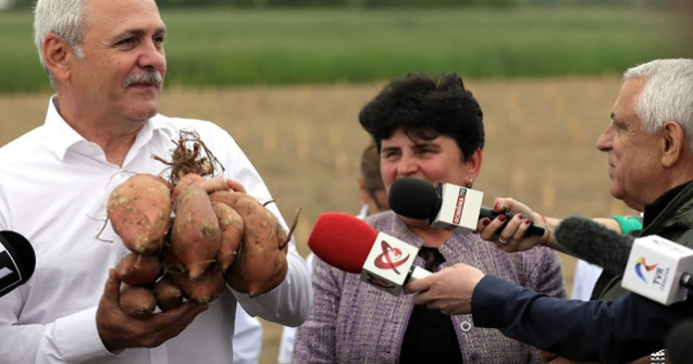 Dragnea: Programele pe care le-am gandit pentru agricultura aduc pe masa romanilor produse sanatoase