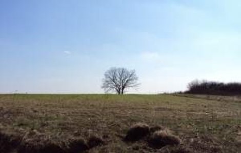 "Ne fug" pamanturile de sub picioare: Romania se vinde la hectar strainilor