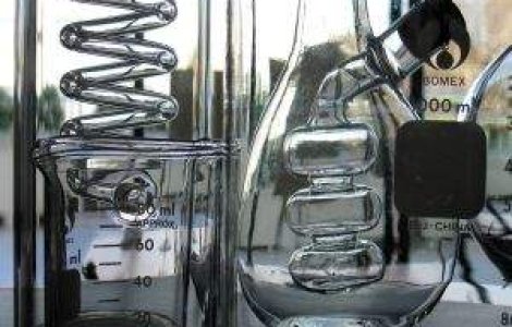 S-a descoperit un nou afrodiziac: Iaurtul cu vanilie