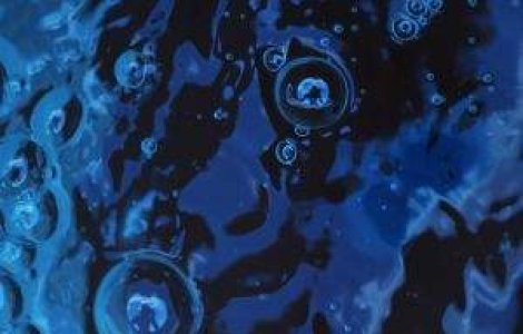 Dezastru ecologic: Sute de litri de petrol s-au scurs in raul Cotmeana