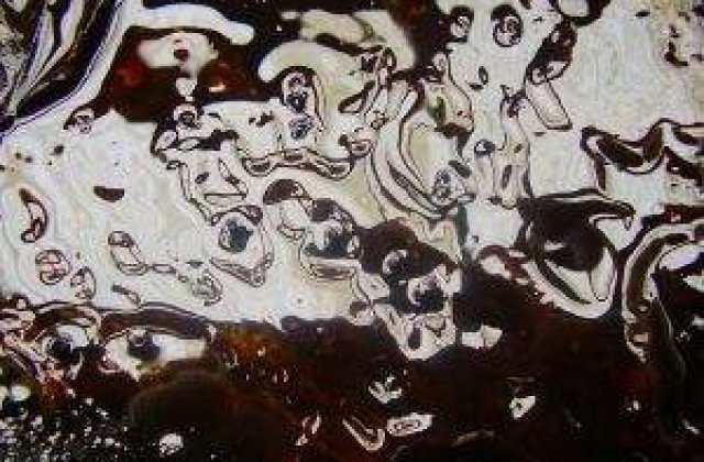 Autoritati neputincioase: Petrolul de pe raul Cotmeana a trecut de baraje