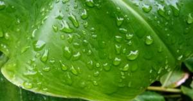 Avertizare: Cod portocaliu de ploi in Bucuresti si 11 judete