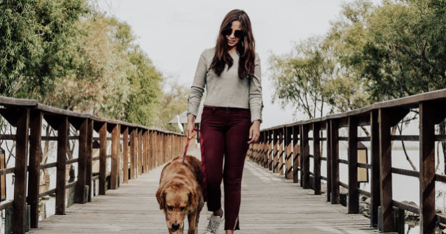 Studiu: Preferinta pentru caini ca animale de companie ar putea fi influentata de ADN