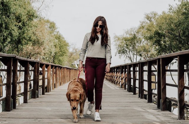 Studiu: Preferinta pentru caini ca animale de companie ar putea fi influentata de ADN