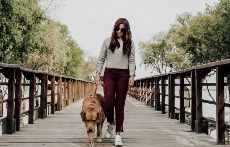 Studiu: Preferinta pentru caini ca animale de companie ar putea fi influentata de ADN