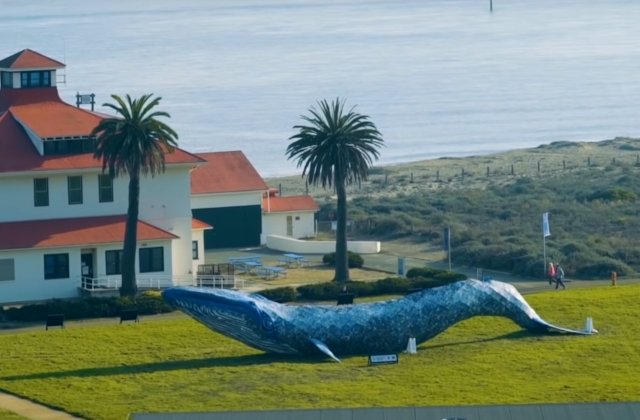 Sculptura unei balene facuta din plastic a intrat in Cartea Recordurilor