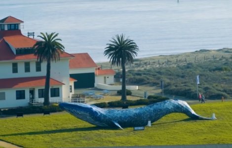 Sculptura de Cartea Recordurilor: o balena construita din plastic