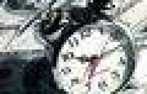 EBay, la un pas de exit din Skype