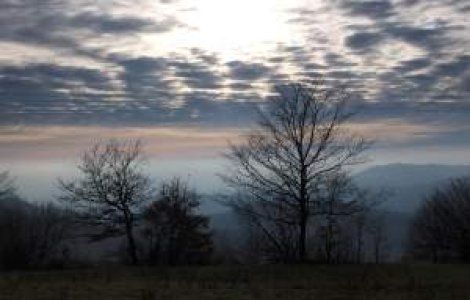 Meteo: Cum va fi vremea in weekend?