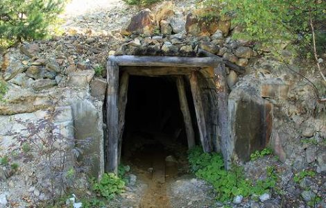 Diaconu aproba declaratiile lui Basescu legate de Rosia Montana