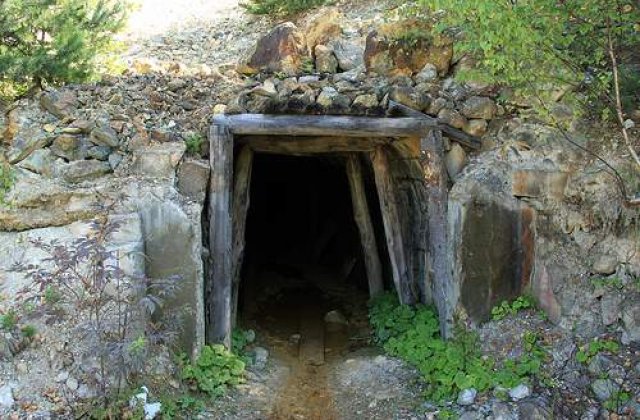 Diaconu aproba declaratiile lui Basescu legate de Rosia Montana