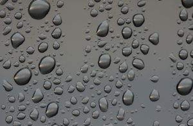 Cod galben de ploi in Bulgaria