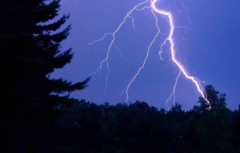 Proprietarul unei stane din orasul Insuratei a fost omorat de un fulger