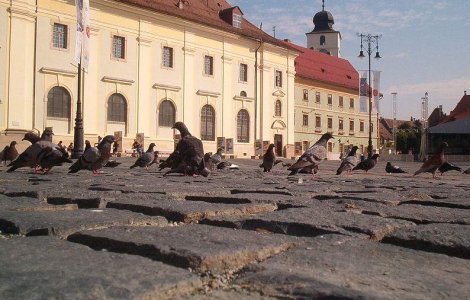 Cel mai important ghid turistic din Europa a premiat orasul Sibiu