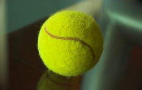 Hanescu, eliminiat in primul tur la Roland Garros