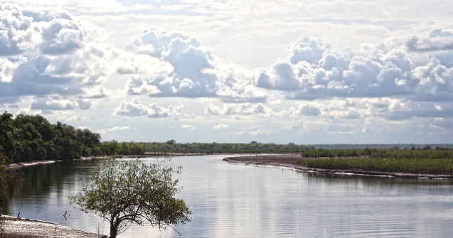 Concentratii de antibiotice, identificate in rauri din diverse regiuni ale globului