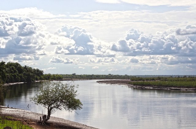 Concentratii de antibiotice, identificate in rauri din diverse regiuni ale globului