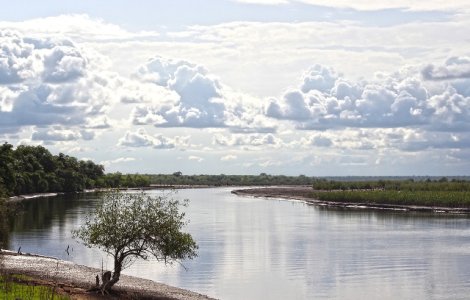Concentratii de antibiotice, identificate in rauri din diverse regiuni ale globului