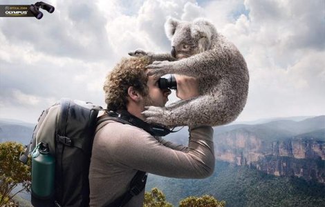 Electric Art. Imagini fascinante. Creativitate